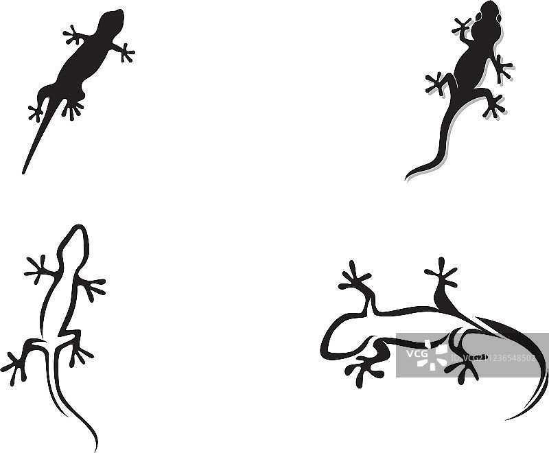 蜥蜴变色龙壁虎黑色剪影图片素材
