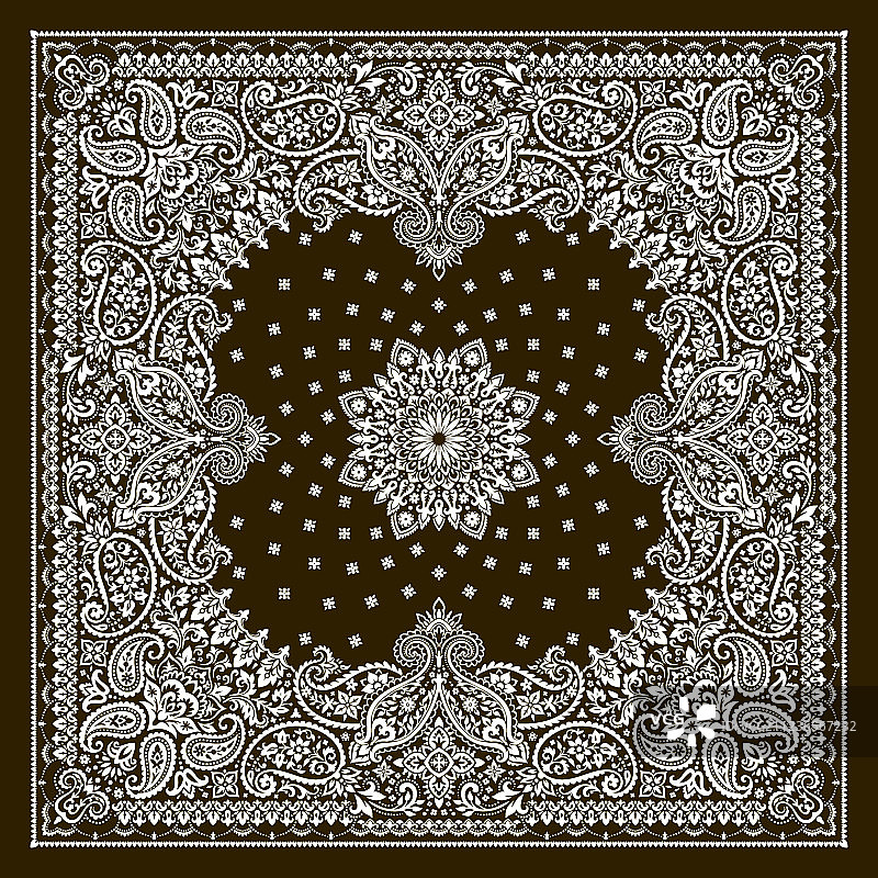 佩斯利印花大手帕图片素材