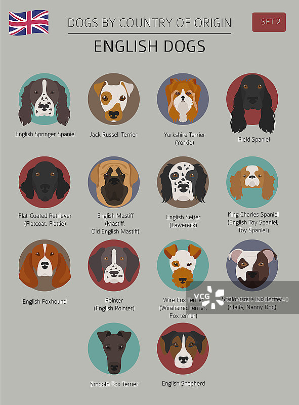 英国犬种图片素材