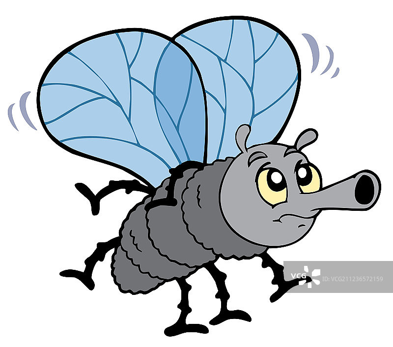 卡通苍蝇图片素材