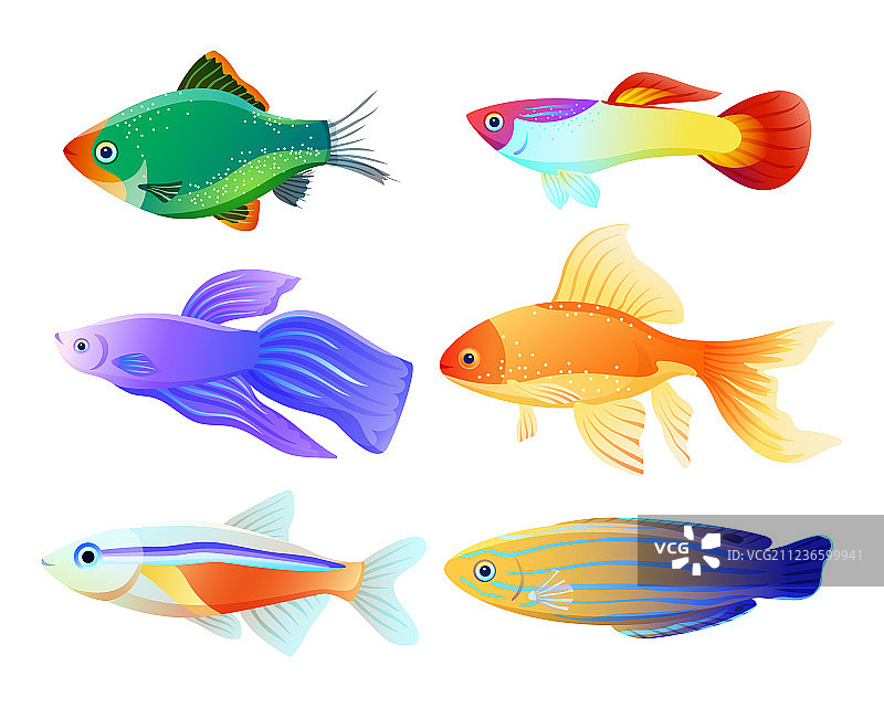 水族箱鱼类卡通合集图片素材