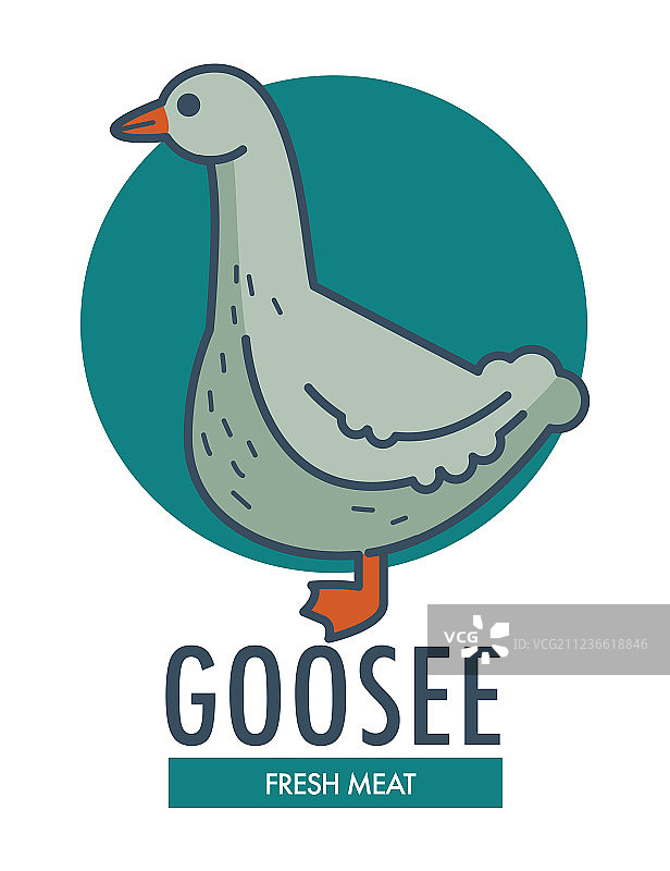 家禽鹅肉商业标识图片素材