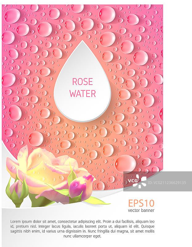 玫瑰和水滴粉色矩形banner图片素材