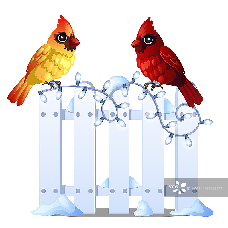 两只可爱的北美红雀栖息在雪地上图片素材