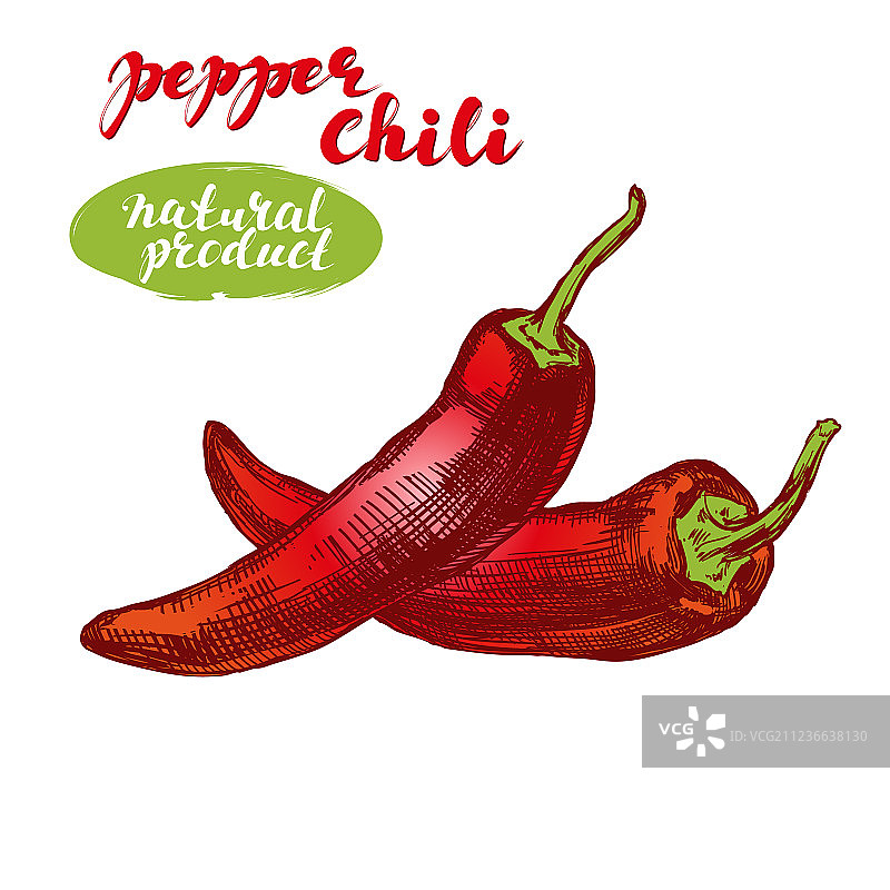 手绘辣椒蔬菜套装图片素材