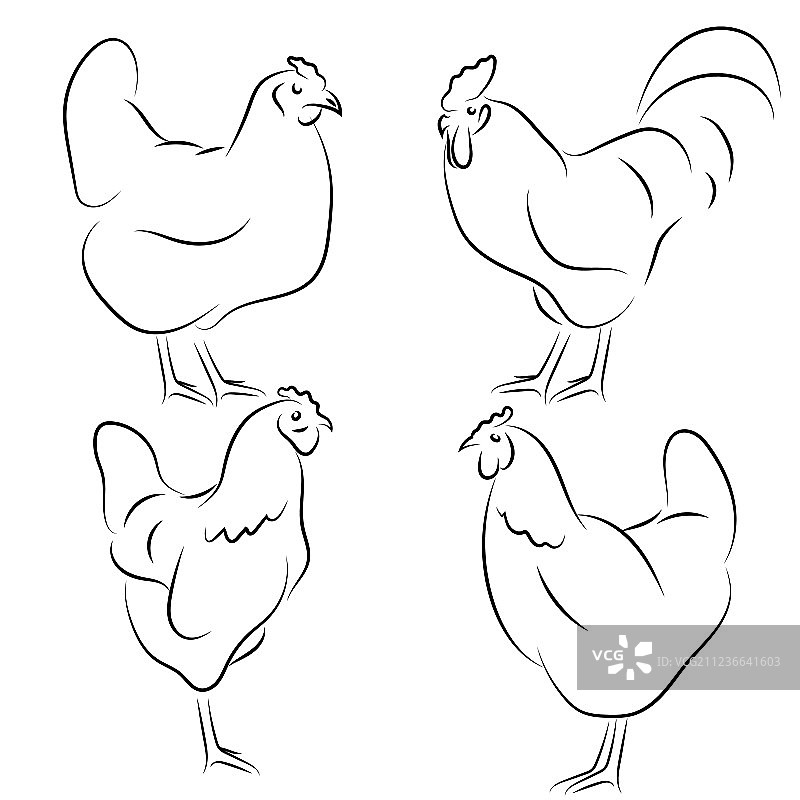 手绘鸡简笔画公鸡图标合集图片素材