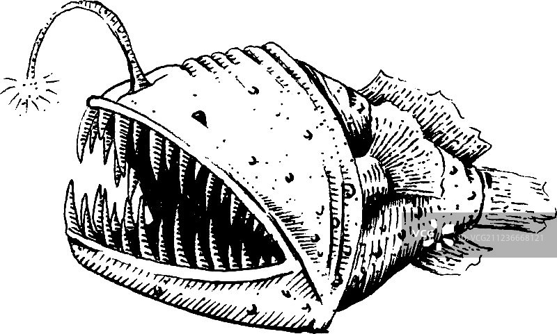 安康鱼或海魔鱼图片素材