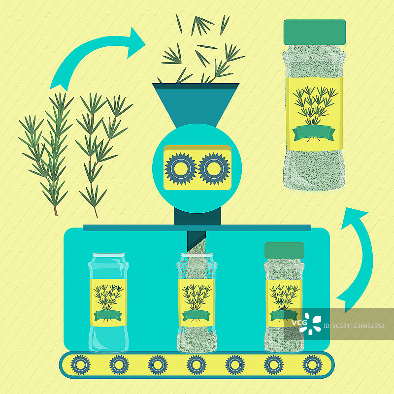 迷迭香粉生产图片素材