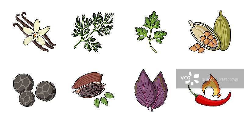 草药和香料图标合集设计图片素材