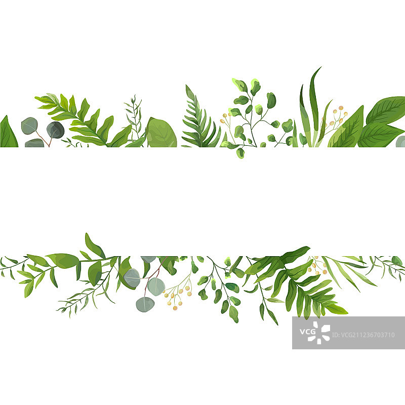 森林蕨类植物花卉卡片设计图片素材