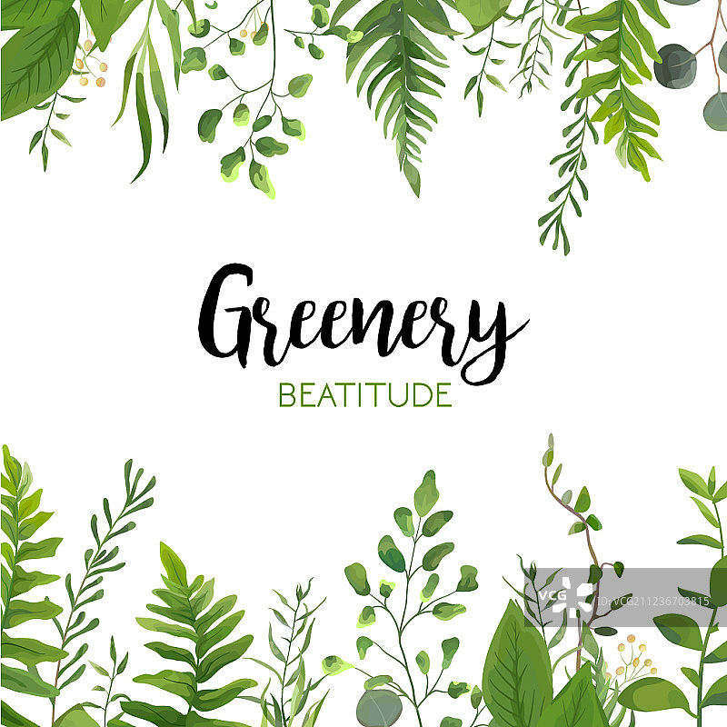 森林蕨类植物花卉卡片设计图片素材