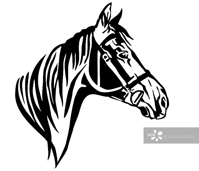 马侧面装饰画像图片素材