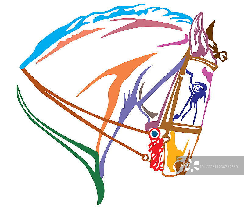 彩色装饰安达卢西亚马肖像图片素材