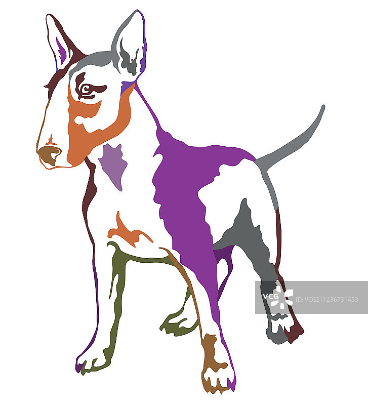 斗牛犬彩色装饰立式画像图片素材