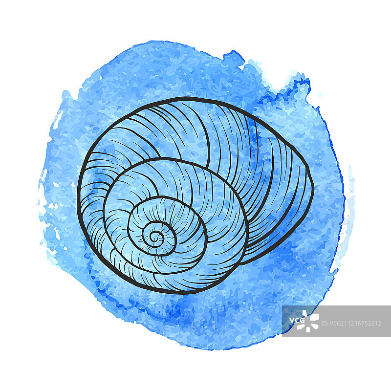 手绘贝壳图片素材