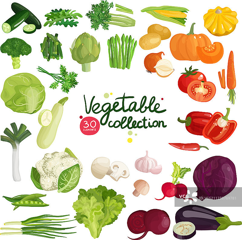 蔬菜和香草合集图片素材