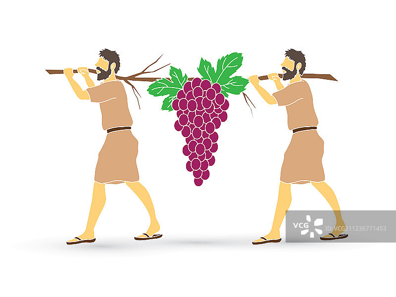 两个以色列间谍抬着迦南的葡萄图片素材