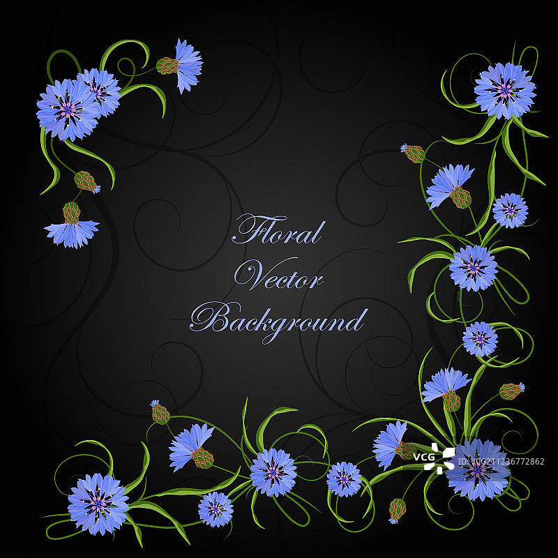 矢车菊花叶角落构图图片素材