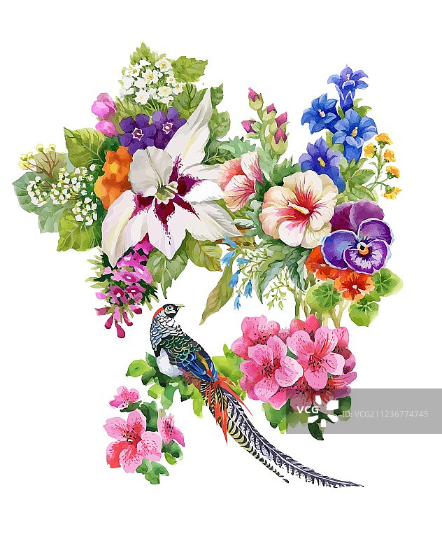 花园花卉和雉鸡水彩画图片素材