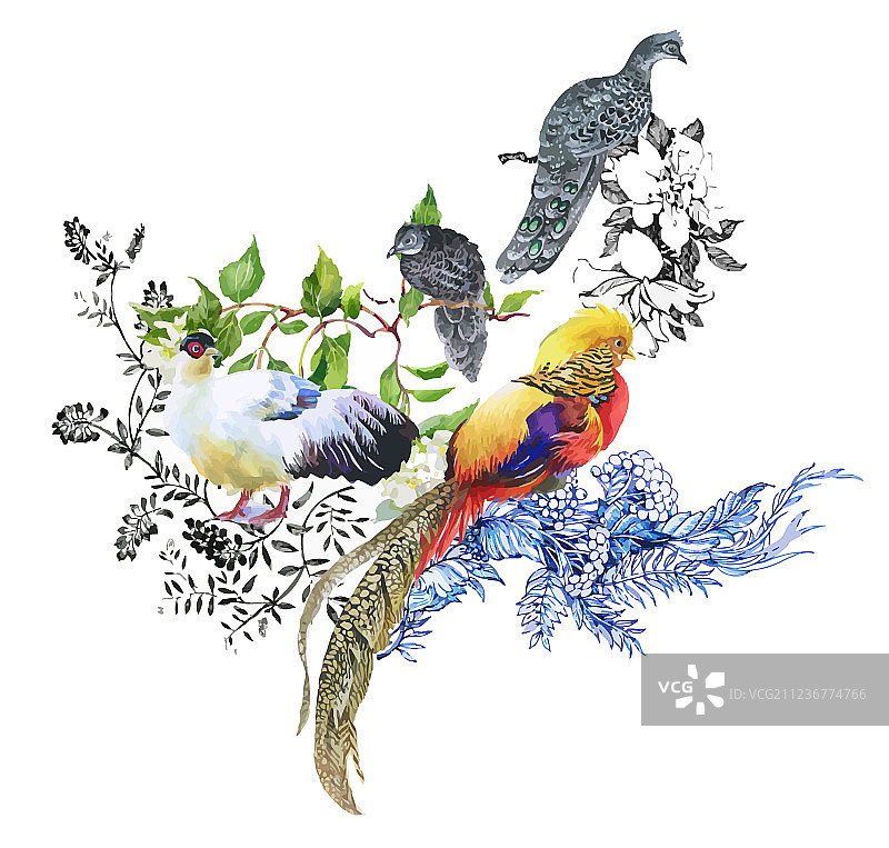 花园花卉和雉鸡水彩画图片素材