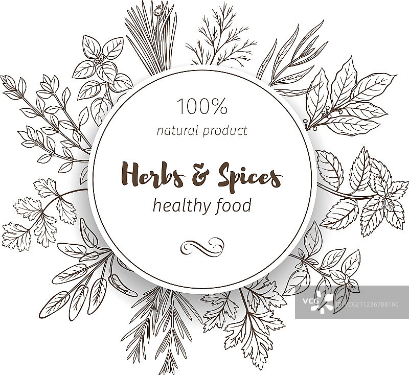 手绘草本香料图片素材