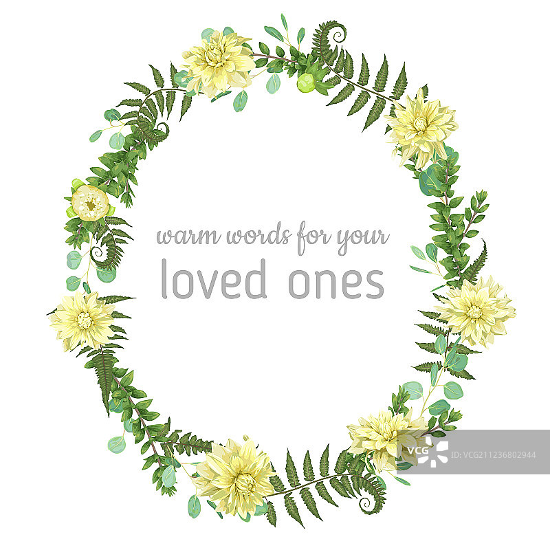 桉树蕨类植物的美丽绿叶花环图片素材