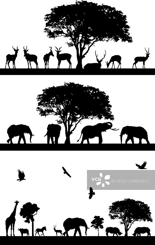 野生动物黑色剪影图片素材