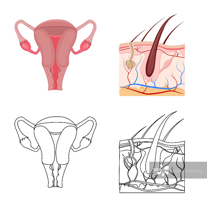 人体和人体标志设计图片素材