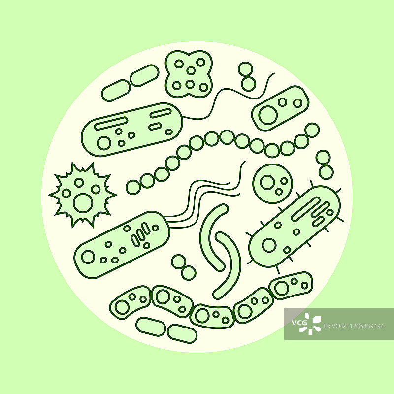 圆形排列的不同细菌图片素材