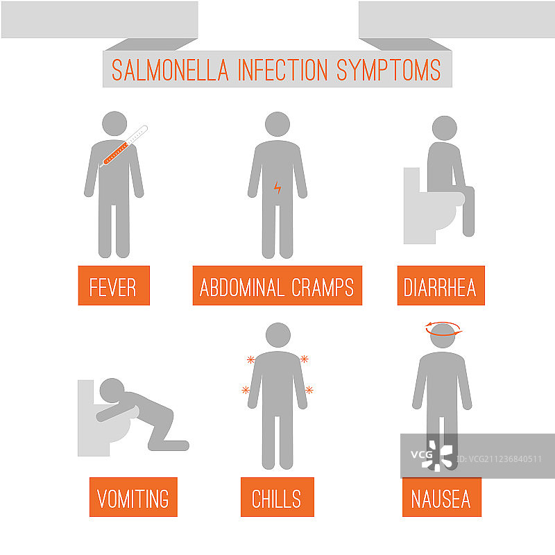 沙门氏菌感染症状图片素材