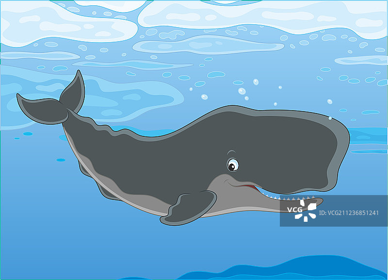 冰层下的抹香鲸图片素材