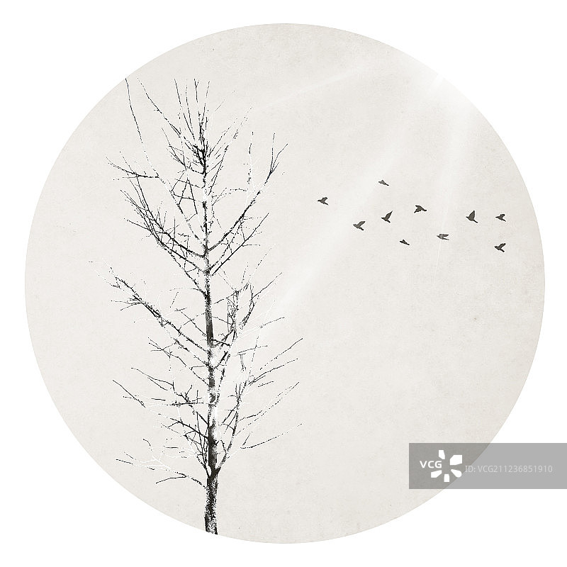 冬季阳光图片素材