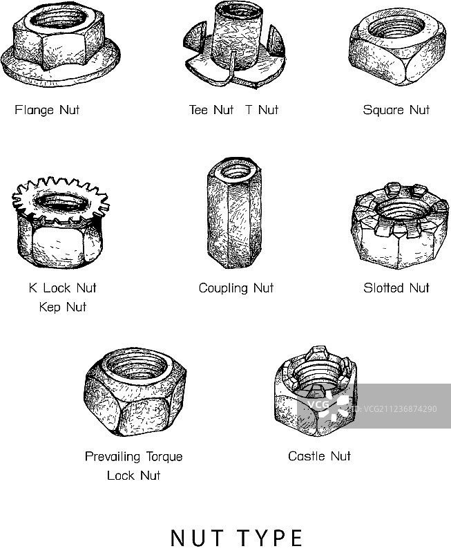 手绘坚果种类速写图片素材