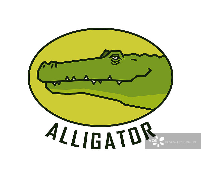 快乐的鳄鱼头像标志图片素材