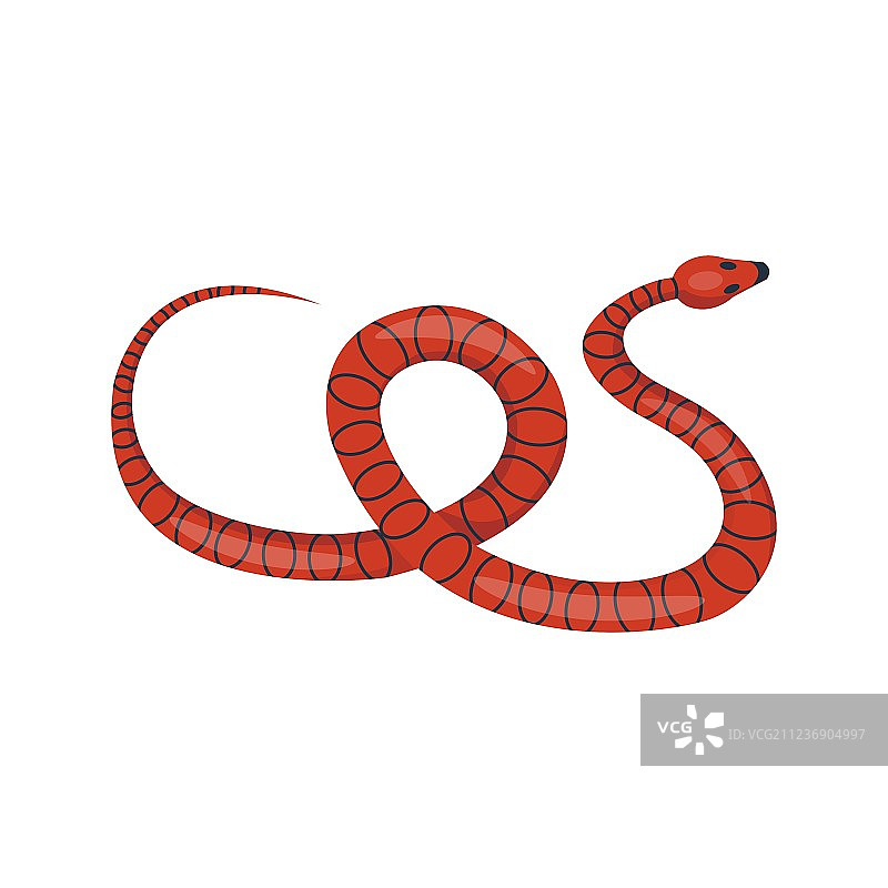 蛇类爬行动物卡通图片素材