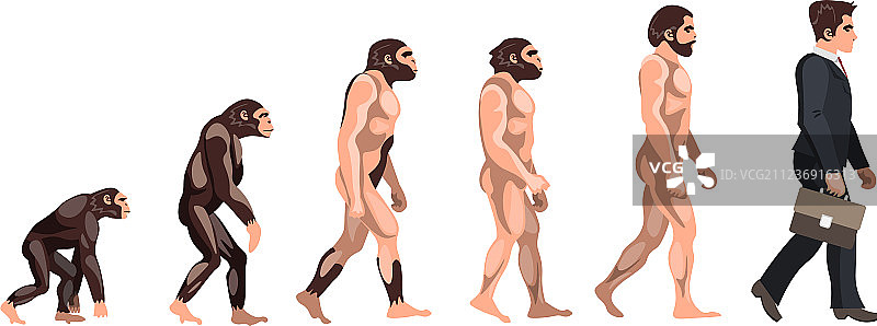 从古代到今天的人类进化图片素材