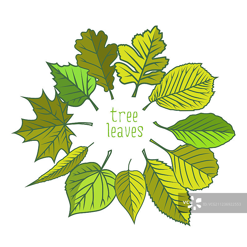 色彩鲜艳的树叶图片素材