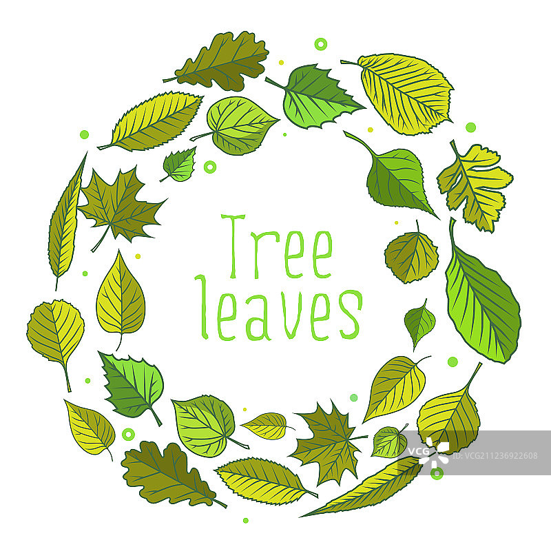 色彩鲜艳的树叶图片素材