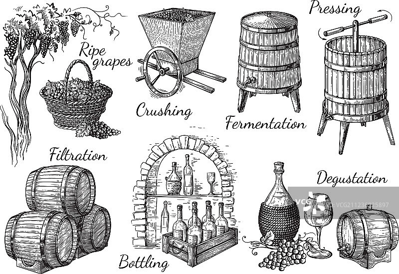 葡萄酒生产过程图片素材