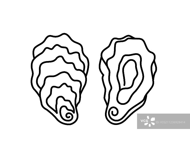 牡蛎壳套装图片素材