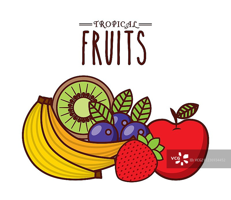 热带水果设计图片素材
