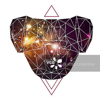 抽象多边形考拉动物三角图片素材