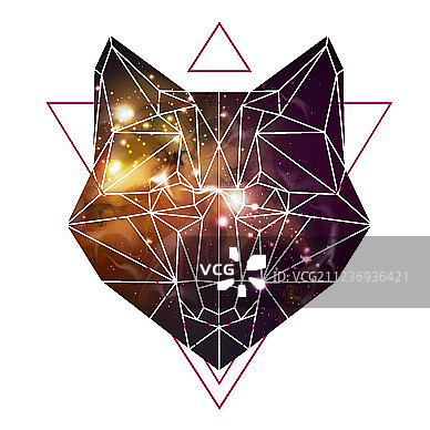 抽象多边形狐狸动物图片素材