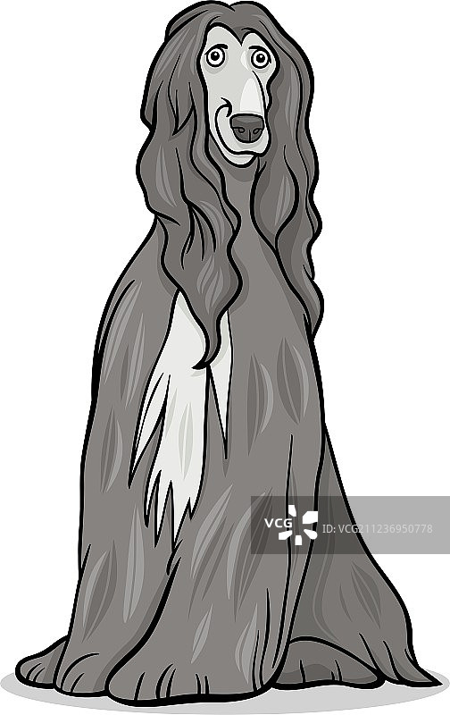 阿富汗猎犬卡通图片素材