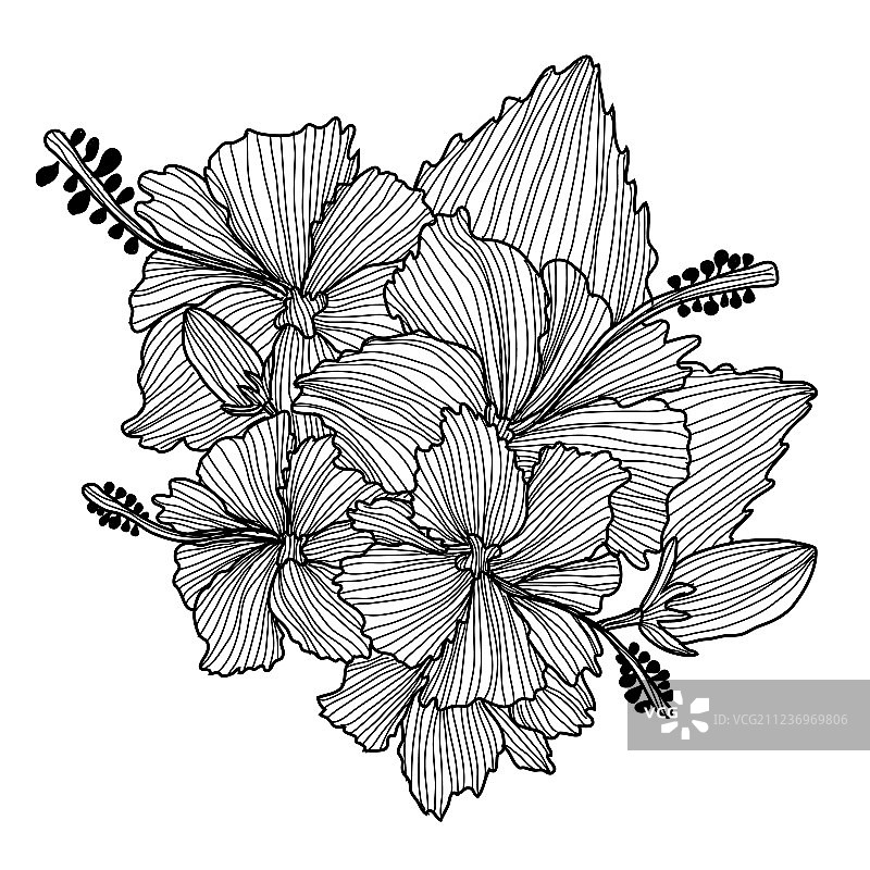 手绘花卉装饰图片素材