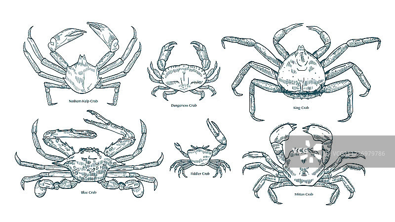 各种类型的优雅绘画作品集图片素材