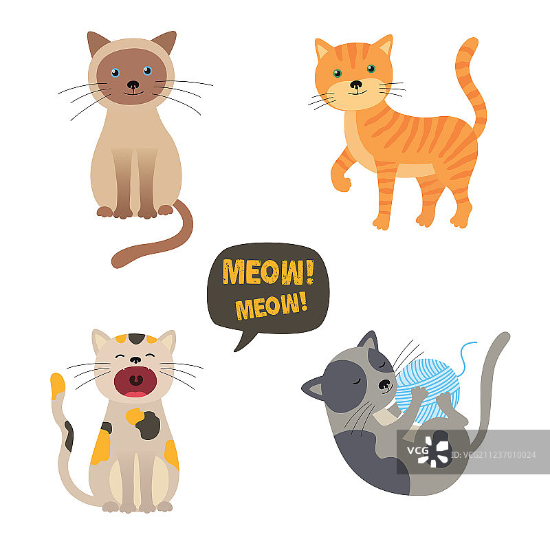 猫咪合集：可爱的喵喵猫图片素材