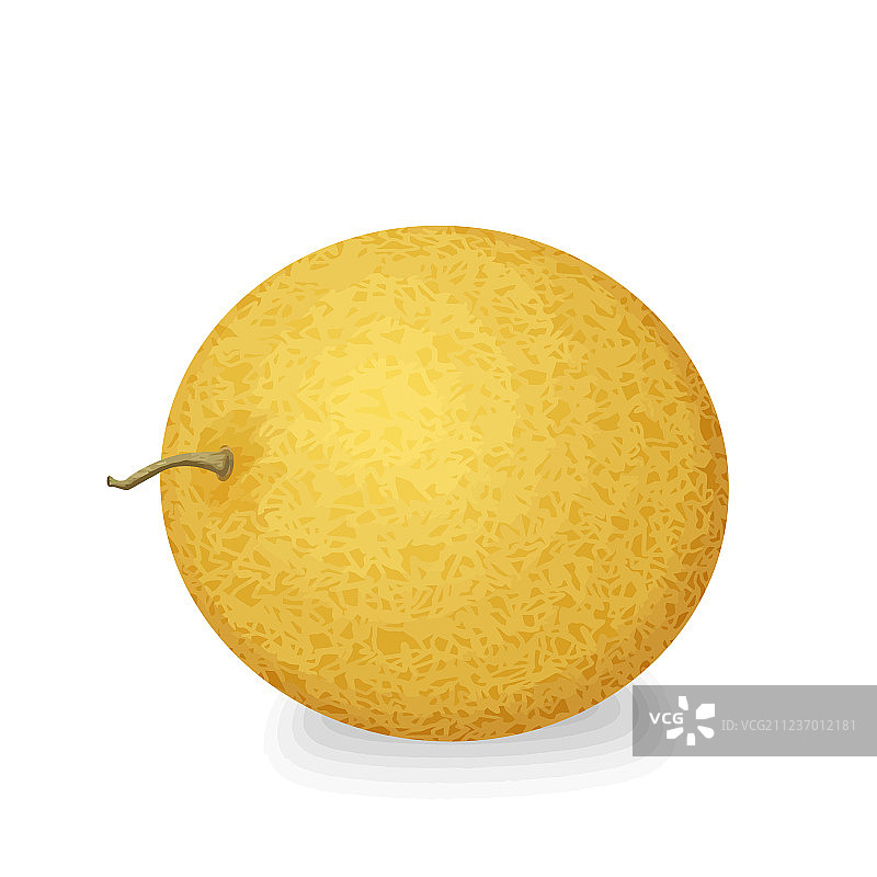 新鲜哈密瓜图片素材