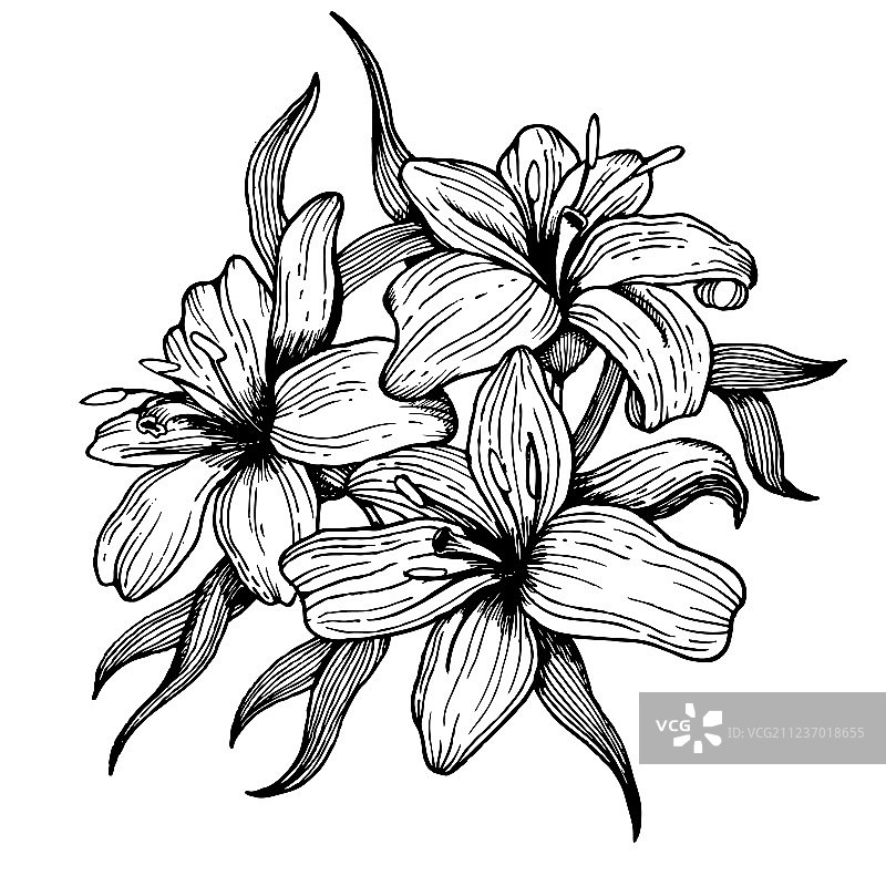 百合花雕刻风格图片素材