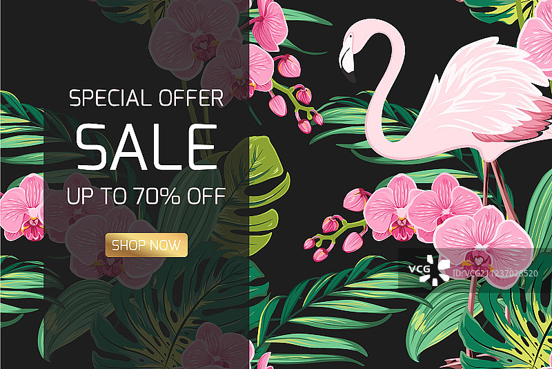 热带兰花丛林树叶促销横幅图片素材